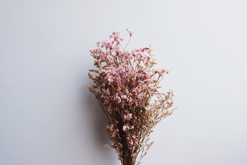 Purple Dried Caspia and Dried Statice flowers bouquet on a gray background, Caspian dried flowers...