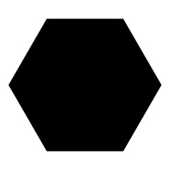 Polygon Hexagon Flat Icon Isolated On White Background