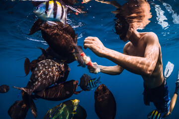 Freediver man with food feeds school of fish in ocean