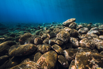 Fototapeta na wymiar Underwater seascape with stones and blue water with sun light.
