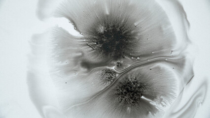Black Chinese ink stains on a white background creating a flowery, organic pattern perfect for...