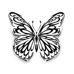 black and white butterfly illustration in line art style 