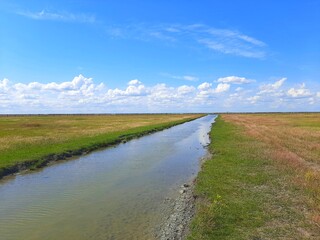 Obraz premium landscape with river and blue sky