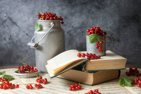 Red currant berries in a galvanized cup and an old can, books lie on the table with notes.