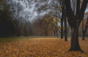A warm autumn day in the park.  Colorful landscape photo. Trebisov, Slovakia