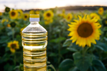 Plastic bottle of fresh yellow sunflower oil at sunset. Field of blooming sunflowers on the background.