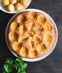 cake with apricots. Homemade delicious apricot cake with fresh apricots
