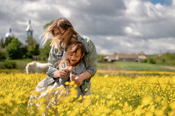 Naklejka na ściany i meble Young mother and daughter spend time together in a field with yellow flowers, white horse in the foreground in defocus, family, love