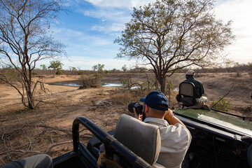 Fototapeta premium Photographing a wild leopard while on safari in the Sabi Sands national park, South Africa
