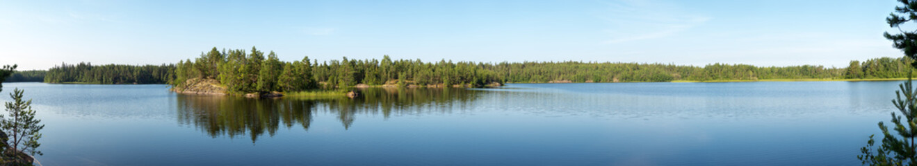 Fototapeta na wymiar forest lake on a summer day