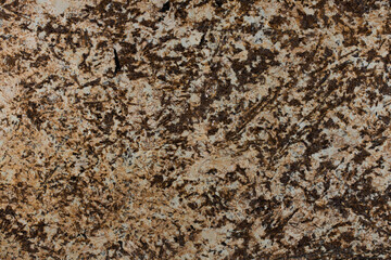 Splendor gold - natural granite stone texture, photo of slab.
