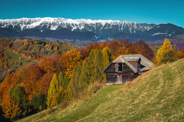 Autumn scenery with colorful deciduous forest and snowy mountains, Romania