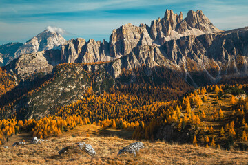 Fototapeta premium Autumn colorful larch forest and spectacular mountains in background, Dolomites