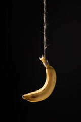 Banana hanging on a rope on a black background