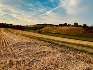 Hilly landscape in late summer, hay piled up in a heap in the front, runs to the horizon, parallel...