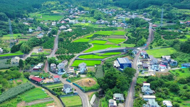 夏の田舎の風景