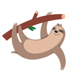 Cute sloth hanging on a tree branch, funny smiling tropical mammal illustration, slow sloth in rainforest, vector clipart isolated on white background © Favebrush