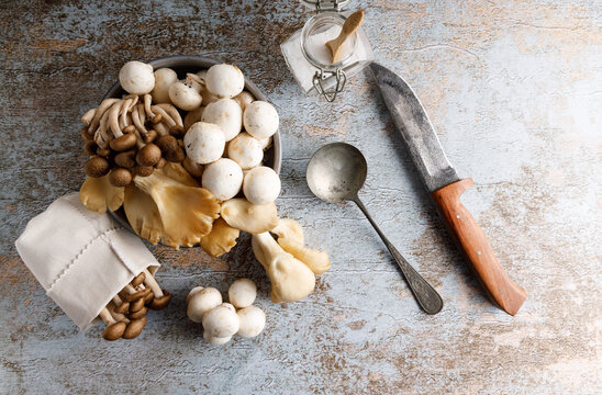 Assortment of edible mushrooms. Fresh harvested assortment of edible mushrooms, oyster fungus, shimeji and white mushrooms.