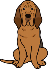 Simple and adorable Bloodhound dog illustration Sitting in front view