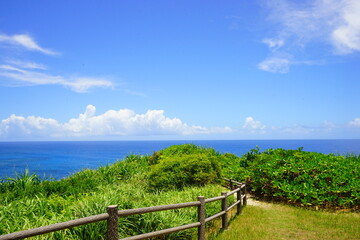 Fototapeta na wymiar Ocean View from Ayamaru Misaki Cape Park in Amami Oshima, Kagoshima, Japan - 日本 鹿児島 奄美大島 あやまる岬からの景色 海岸