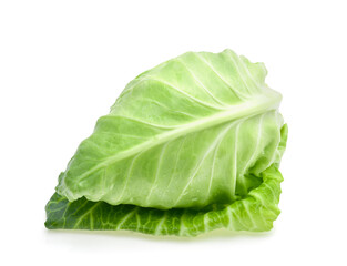 fresh green pointed cabbage isolated on white background