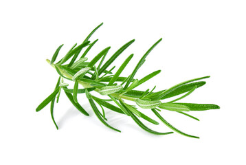 Fototapeta premium Rosemary isolated on white background