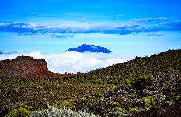 Dans son nuage