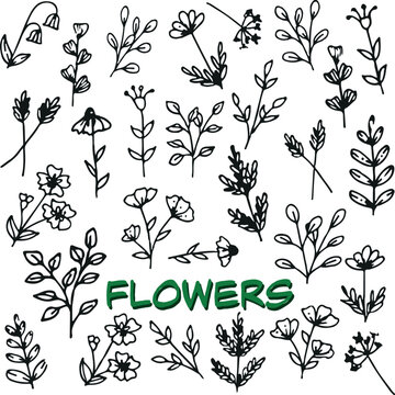 A variety of autumn flowers graphic drawings black and white sketch