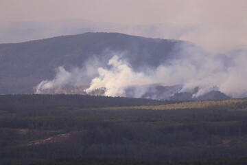 A large forest fire and smoke above the czech national park Bohemian Switzerland