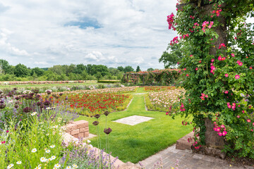 garden with flowers