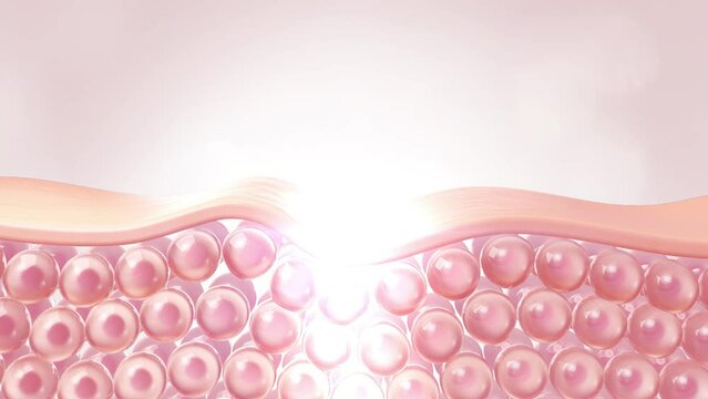 Serum through the skin layer for reduce and repair saggy skin cell Concept.