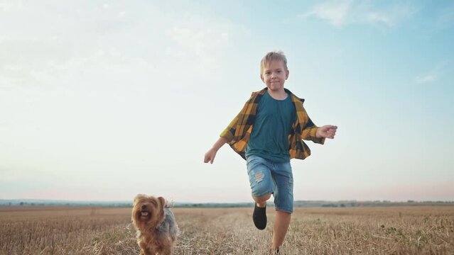 boy and dog running. people in the park. little kid child running across a mowed wheat field with a pet dog happy smiling. happy family kid concept. child boy run the park with a dog dream