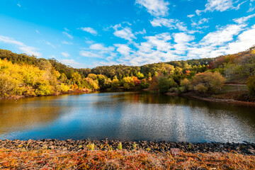 Colourful autumn scene in Mount Lofty park by the pond at sunset time, Adelaide Hills, South Australia