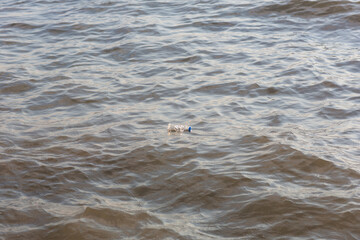 plastic bottle floats in sea. problems of ecology and environmental protection