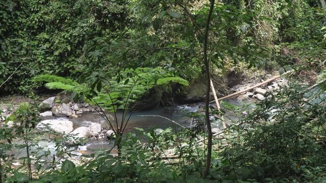 view from above. Indescribable beauty of green vegetation. In the lowlands there is a small, not deep clean reservoir with stones of different shapes and colors. Mountain river flows in the jungle.