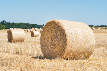 straw bales
