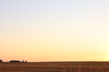 Fototapeta premium sunset over the field