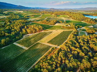 Aerial Mediterranean landscape with cypresses, olive trees and vineyards in Provence, Southern...