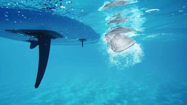 Paddle sup board from underwater 