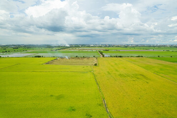 field background, top view landscape, nature