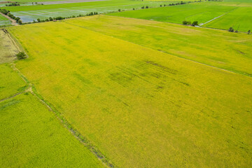 field background, top view landscape, nature