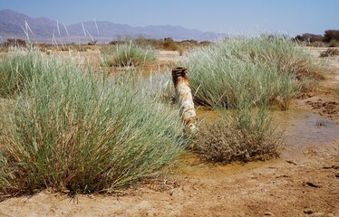 Burst pipe of clear water and puddle in the desert
