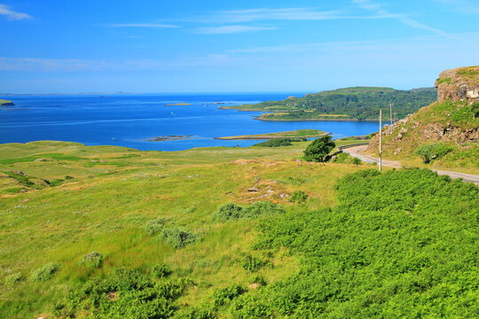 Green lush grass vegetation of the Isle of Mull, UK