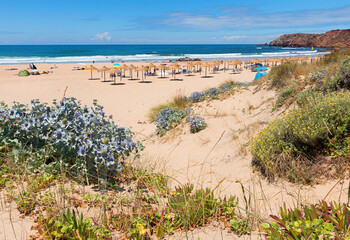 summer beach West Algarve Portugal, with straw sunshades, blue ocean Amado beach.
