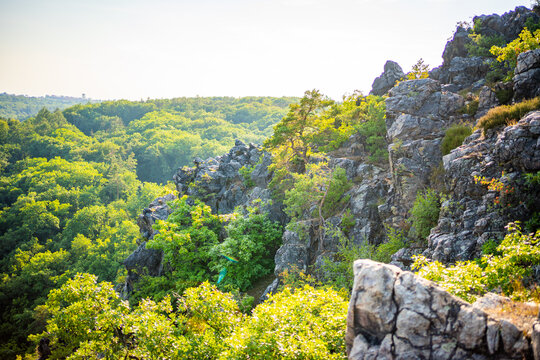 Popular wild park Divoka Sarka in Prague city in sunset time in summer, Czech republic
