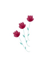 Drawing of a red roses in the technique of watercolor paints