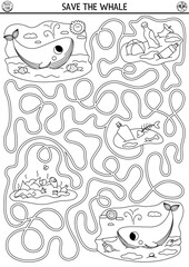 Ecological black and white maze for children with endangered animal concept. Save the whale game. Earth day preschool activity. Eco awareness labyrinth coloring page. Nature protection printable
