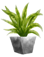Green botany plant in pot watercolor painting modern home garden decoration