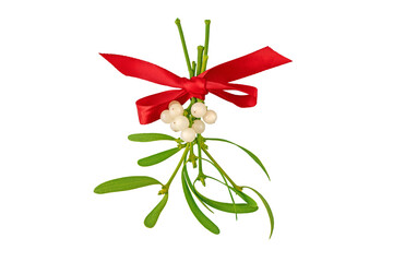 Mistletoe bunch tied with red satin bow isolated on white