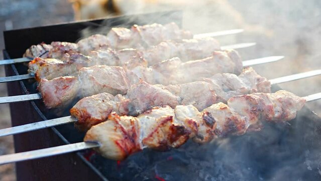 Close-up of grilling tasty dish on barbecue. Process of cooking yummy shashlik in nature. Delicious food on metal skewer in bbq. Time to picnic concept. 
